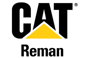 Cat Reman